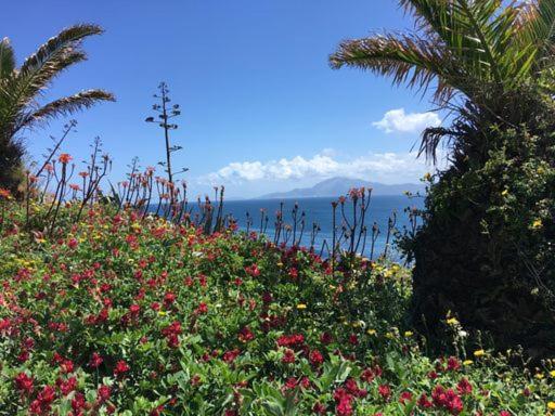 Floating House Tarifa Hotel Bagian luar foto